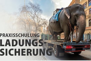 Ladungssicherung - jährliche Unterweisung