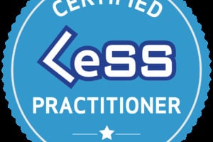 Certified LeSS Practitioner - Principles to Practices (Deutsch)