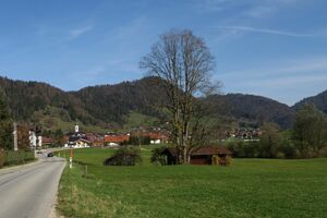 Alpenherbst Moore und Filze