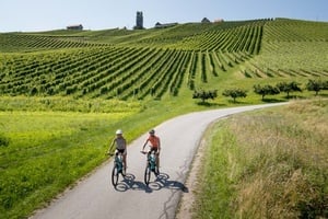 Südsteirische und slowenische Grenztouren
