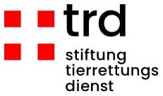 Allgemeine Geschäftsbedingungen