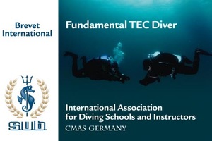 Fundamental TEC Diver April 2024