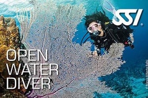 OpenWater Diver Jul26