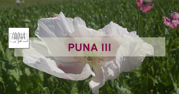 AROHA Onlinestunde PUNA III