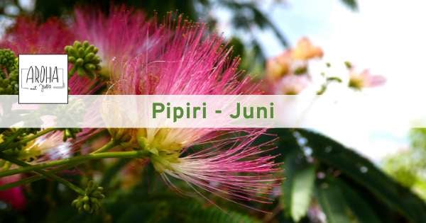 AROHA Onlinestunde Juni 2026