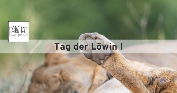 AROHA Online Stunde Tag der Löwin I AROHA Online Stunde Tag der Löwin I