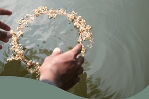 Inmitten der Stille Trauerbegleitung mit Homöopathie