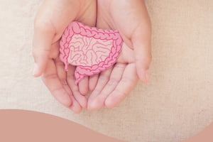 Darm im Gleichgewicht  Homöopathie und Schüßler-Salze bei funktionellen und chronischen entzündlich