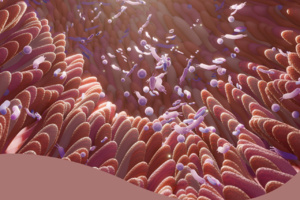 Aminosäuren, Mikrobiom und Schüßler-Salze  integrative Wege bei funktionellen Beschwerden