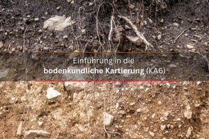 Modul 10 Einführung in die bodenkundliche Kartierung (KA6)