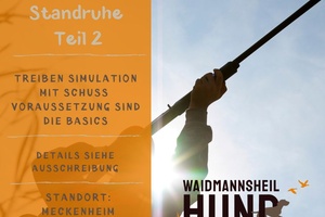 Ruhe bewahren - Standtreiben Teil 2