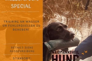 Wasserarbeit - SPECIAL Fehlerquellen