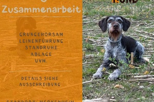 Grundlagen der Zusammenarbeit - Jagd-&Dummyhunde