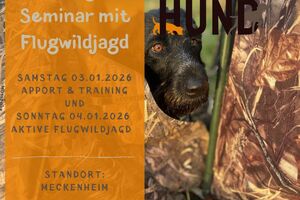 Jagdhundetraining & Flugwildjagd