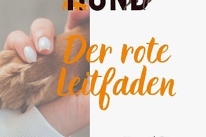 Online-Vortrag der rote Leitfaden!