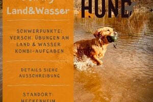 Dummytraining - Land & Wasser - Niveau gute A