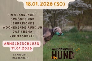 Dummy-Wochenende SONNTAG