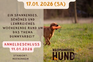 Dummy-Wochenende SAMSTAG