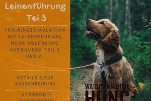 lockere Leine - Leinenführung Teil 3