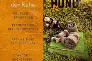 Immer mit der Ruhe - Basic Teil 1