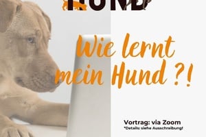 Online-Vortrag Lernverhalten beim Hund
