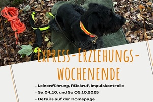 Express-Erziehungs-Wochenende