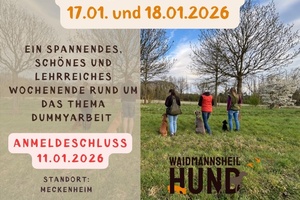 Dummy-Wochenende KOMPLETT