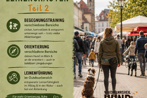 Leinenchaoten 2 - Umkreis Rösrath
