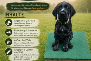 Welpengruppe für Jagdhunde