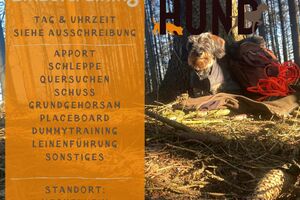 Einzeltraining - Samstag 10.01.26 9.30 Uhr