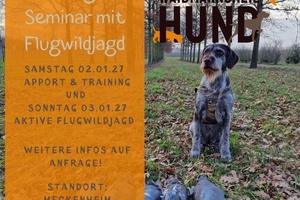 Jagdhundetraining & Flugwildjagd