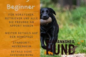 Dummytraining - Beginner Teil 1