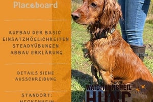 Special-Seminar Placeboard