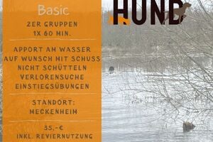 Wasserarbeit ANFÄNGER !