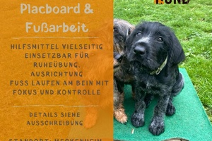 Special-Seminar Placeboard & Fußarbeit