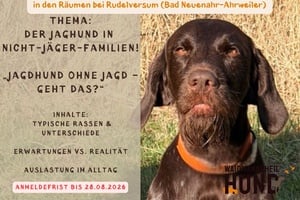 Vortag (Live) Der Jagdhund in Nicht-Jäger-Familien