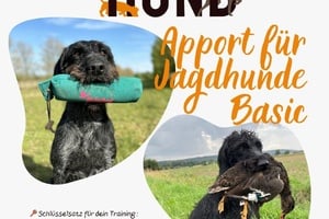 Apport für Jagdhunde - Basic