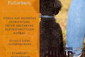 Special-Seminar Fußarbeit