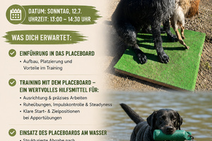 Placeboard Aufbau