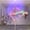 Poleshapes Floor Edition (alle Level) am 01.07.26 um 1830-1930 Uhr