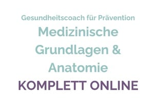 Sportanatomie & Sportphysiologie