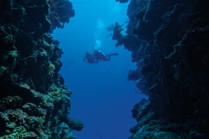 PADI- Deepdiver Specialty