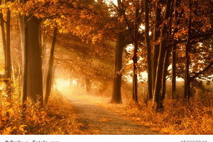 Online-Seminar. Was am Ende wichtig ist. Sterbebegleitung.