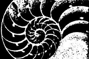 Präsenz-Seminar. 2-tägig Grundkurs Integrative Validation nach Nicole Richard