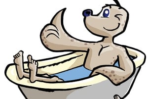 Level 3-4 Donnerstag Kleingruppe