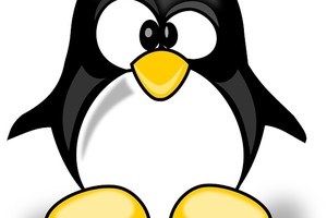 Folgekurs Pinguine NUR FÜR FRÖSCHE 2024-1-1700