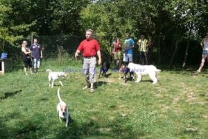 Workshop Wünsch dir was in Bautzen