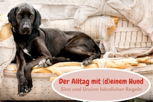 ThemenVortrag-Der Alltag mit deinem Hund - Crimmitschau