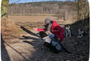 Workshop Jagdfieber Butterberg Bischofswerda