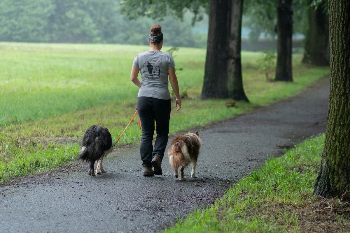 Hundetrainerin Maria Kurz läuft auf einer Allee mit zwei Hunden leinenführig